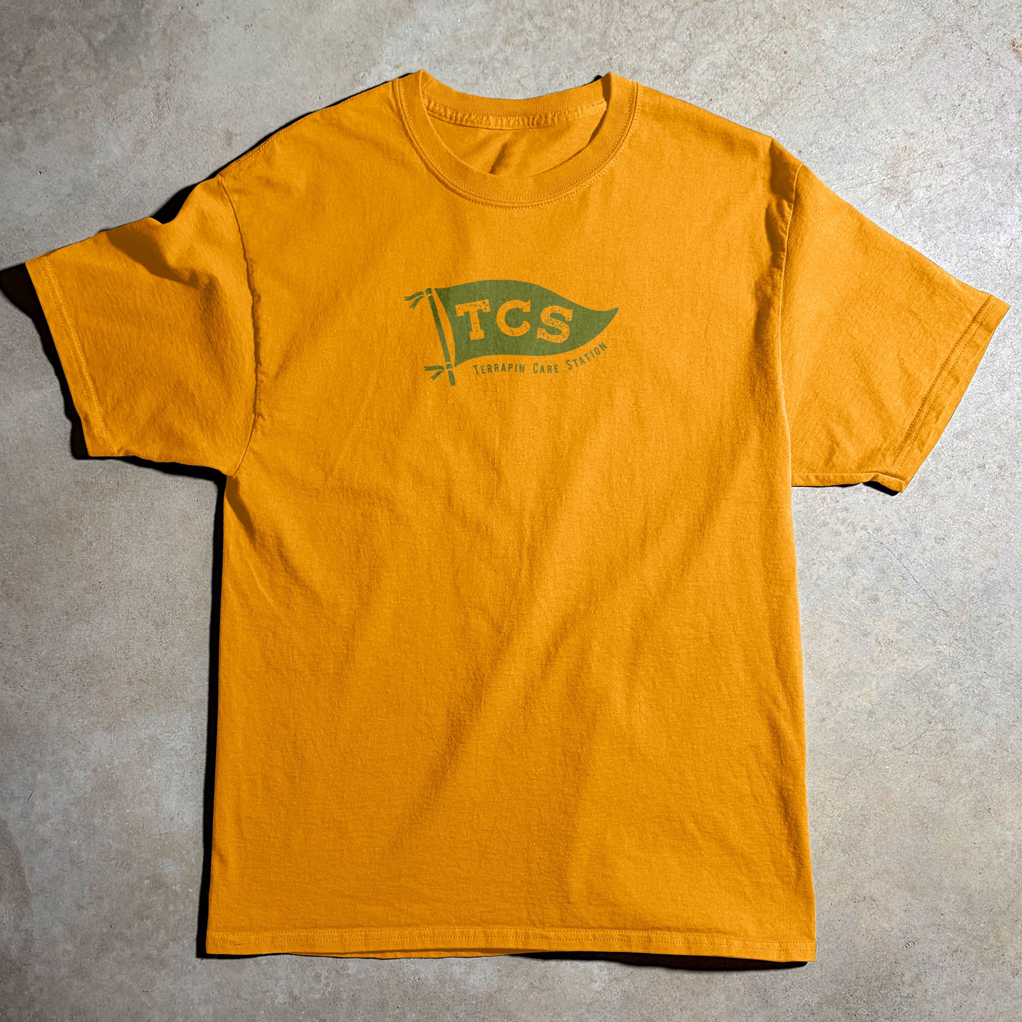 MEN’S TSC FLAG TEE
